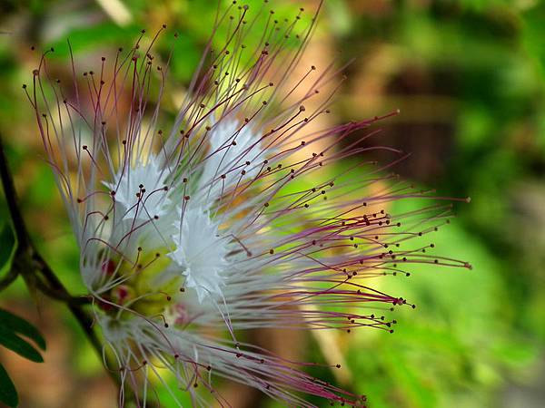 DSCF0278 DSCF0278