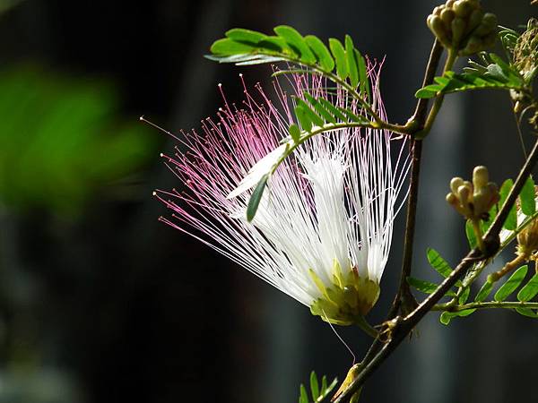 DSCF0285 DSCF0285