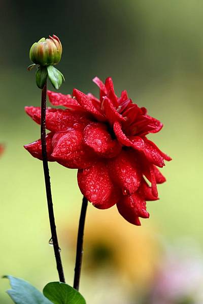 IMG_5576 IMG_5576
