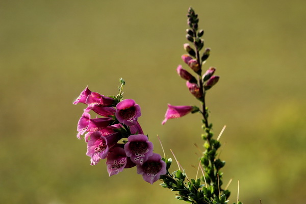IMG_5712 IMG_5712