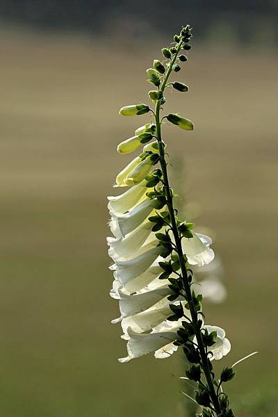 IMG_5708 IMG_5708
