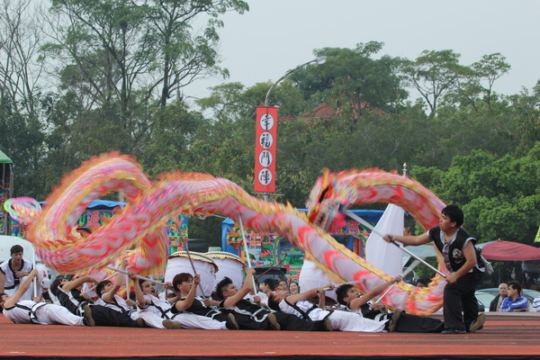IMG_8519 IMG_8519