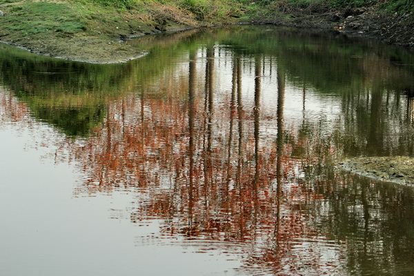 IMG_9710 IMG_9710