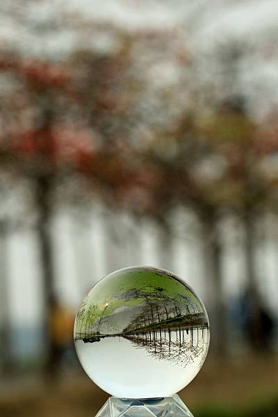 IMG_9499 IMG_9499