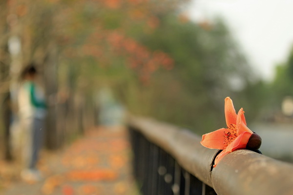 IMG_9687 IMG_9687