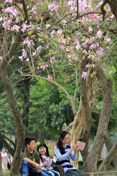 拈花惹草