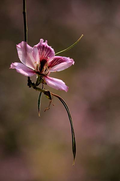 IMG_9829 IMG_9829