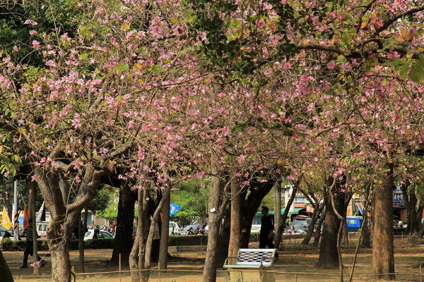 IMG_9860 IMG_9860