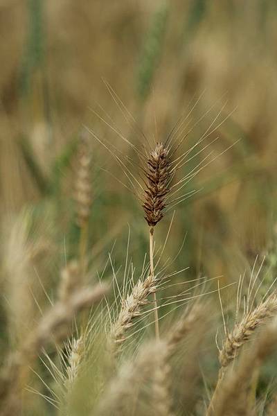 IMG_8340 IMG_8340