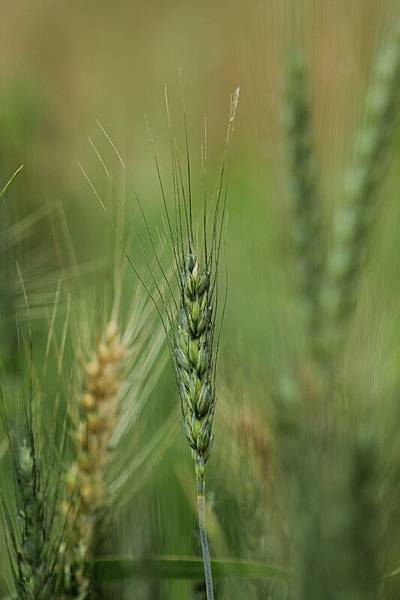 IMG_8341 IMG_8341