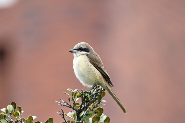 IMG_6362 IMG_6362