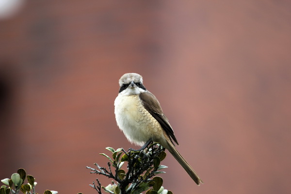 IMG_6363 IMG_6363