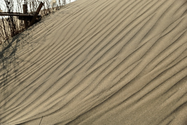 IMG_0242 IMG_0242