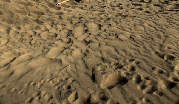 IMG_0370 IMG_0370