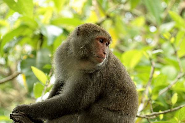 IMG_1260 IMG_1260