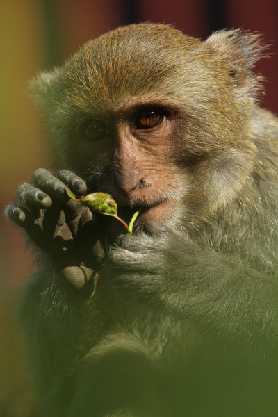 IMG_5126 IMG_5126