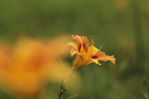 IMG_2567 IMG_2567