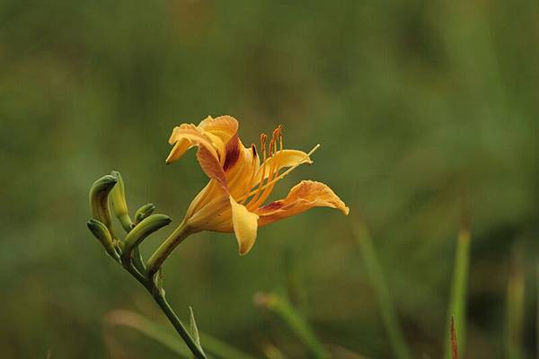 IMG_2555 IMG_2555