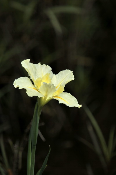 IMG_1655 IMG_1655