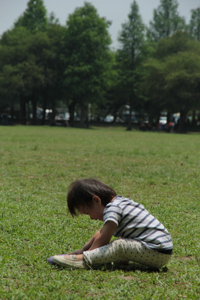 IMG_2243 IMG_2243
