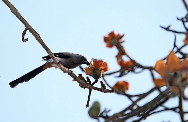 IMG_0037 IMG_0037