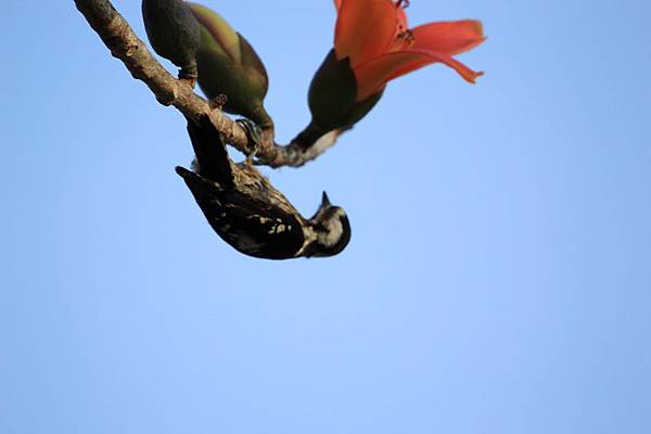 IMG_0024 IMG_0024