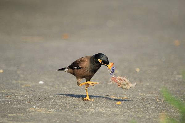 IMG_0046 IMG_0046