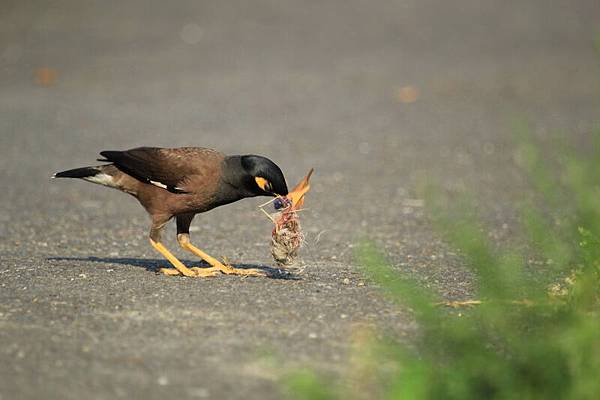 IMG_0045 IMG_0045