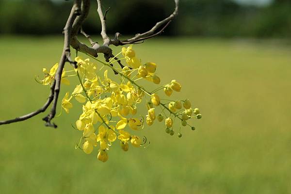 IMG_5200 IMG_5200