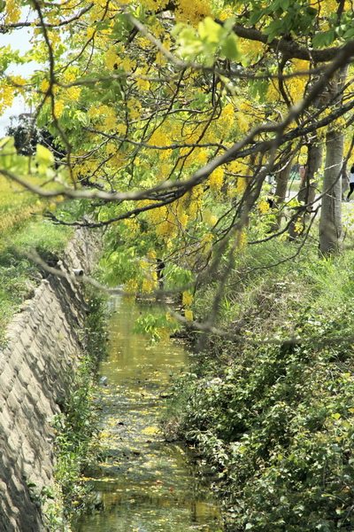 IMG_5184 IMG_5184