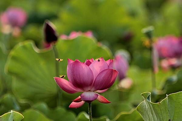 IMG_4844 IMG_4844
