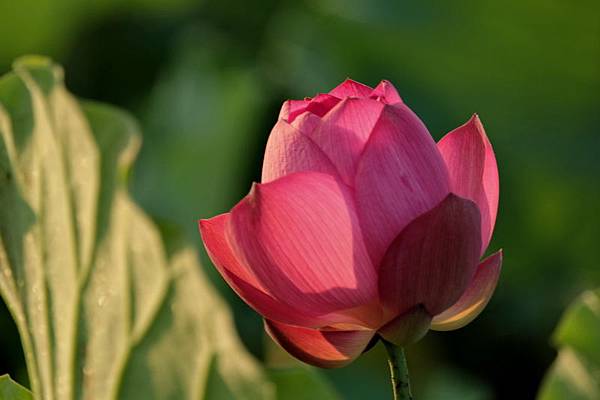 IMG_4890 IMG_4890