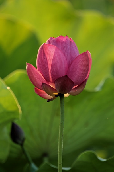 IMG_4873 IMG_4873
