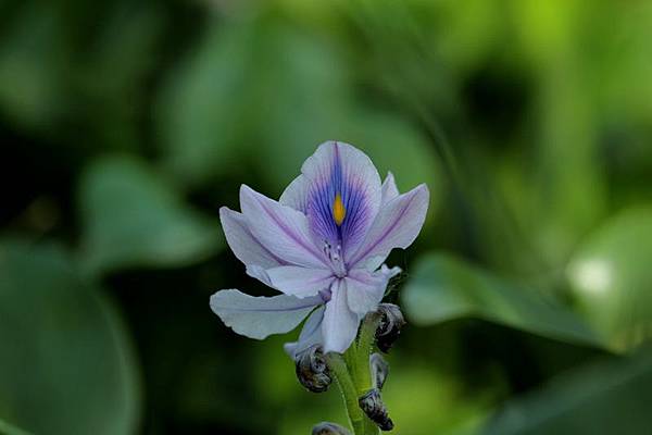 IMG_2978 IMG_2978