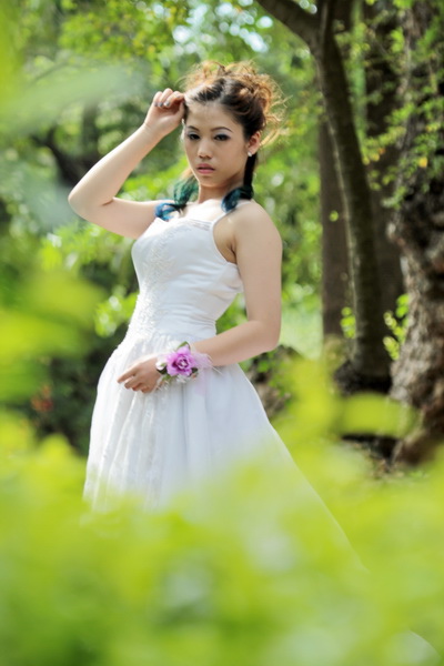IMG_4462 IMG_4462