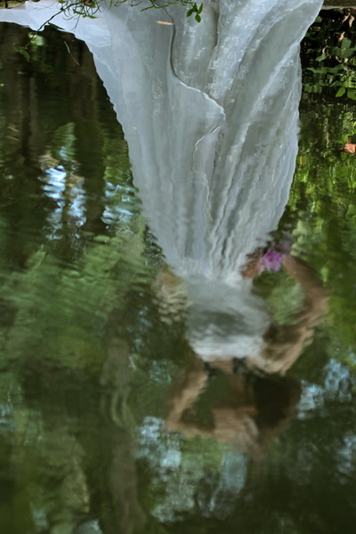 IMG_4477 IMG_4477