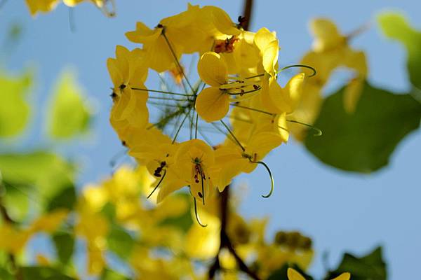 IMG_5098 IMG_5098