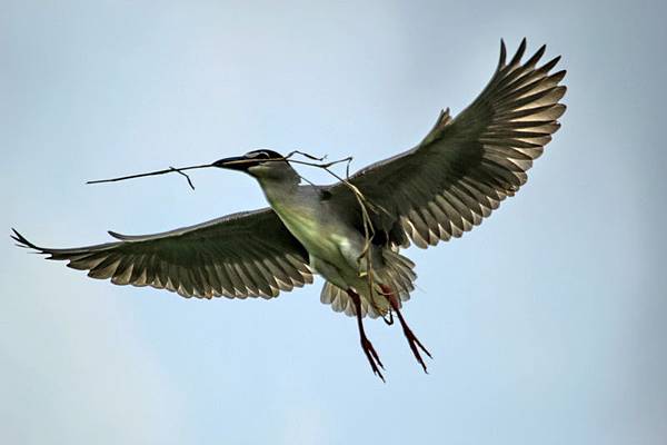 IMG_0116 IMG_0116