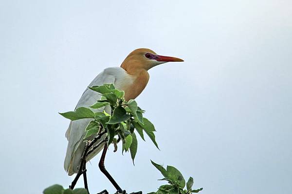 IMG_0133 IMG_0133