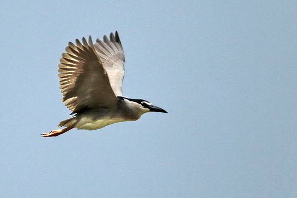 IMG_0165 IMG_0165