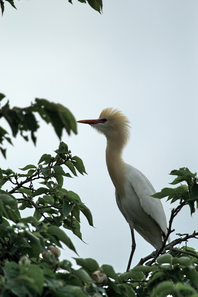 IMG_0130 IMG_0130
