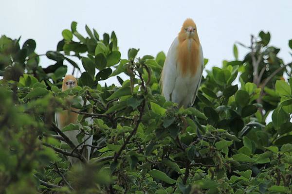 IMG_0112 IMG_0112