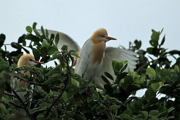 IMG_0111 IMG_0111