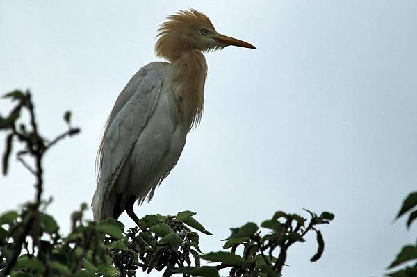 IMG_0115 IMG_0115