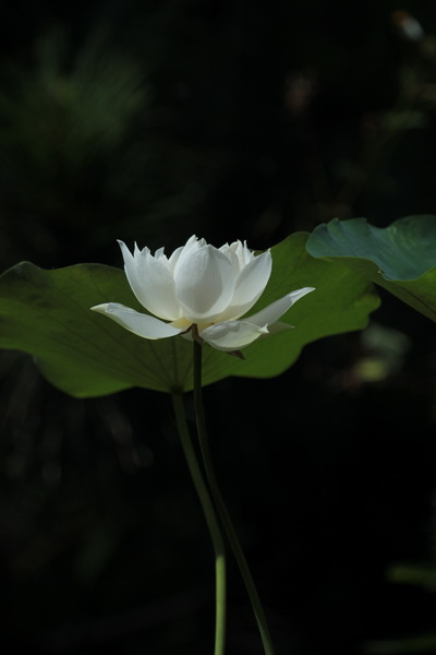 IMG_5530 IMG_5530