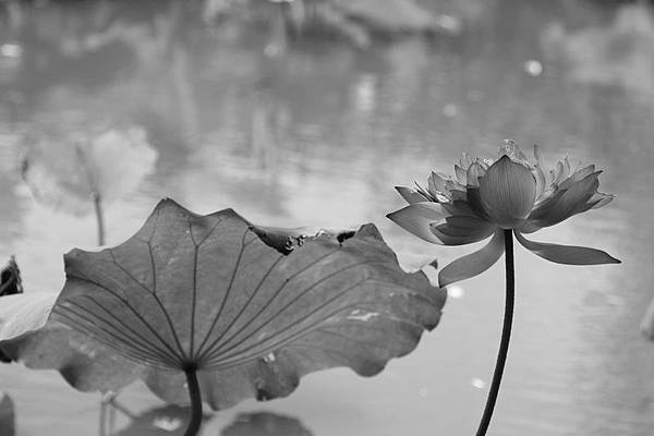 IMG_5554 IMG_5554