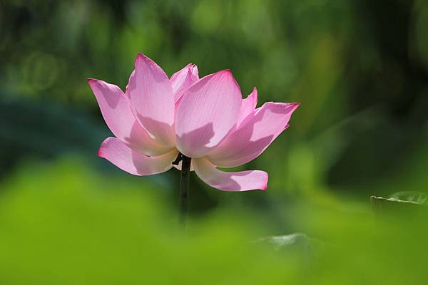 IMG_5546 IMG_5546