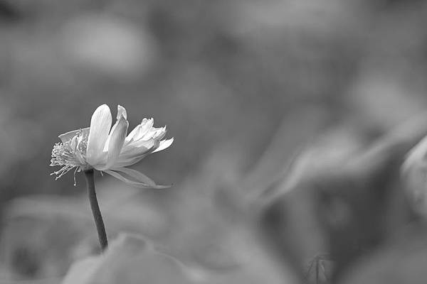 IMG_5558 IMG_5558