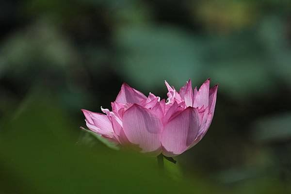 IMG_5543 IMG_5543