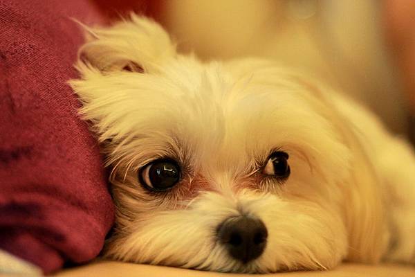 IMG_8144 IMG_8144